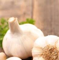 10 types of garlic and their benefits