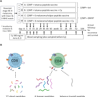 Multipeptide vaccines for melanoma in the adjuvant setting: long-term survival outcomes and post-hoc analysis of a ...