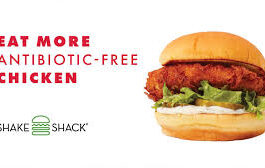 Shake Shack shades Chick-fil-A with free chicken sandwich on Sundays: 'Eat More Antibiotic-Free Chicken'