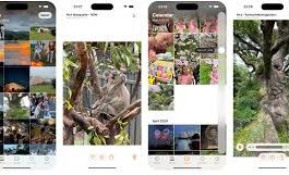 For $5, Photon Library brings back the feel of the old iOS Photos app