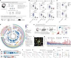 High-throughput identification of repurposable neuroactive drugs with potent anti-glioblastoma activity