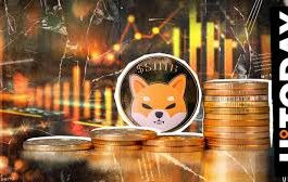 Shiba Inu (SHIB) Biggest Beneficiary of Rate Cut, Here's Why