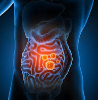 Boost your gut health with plant-based foods