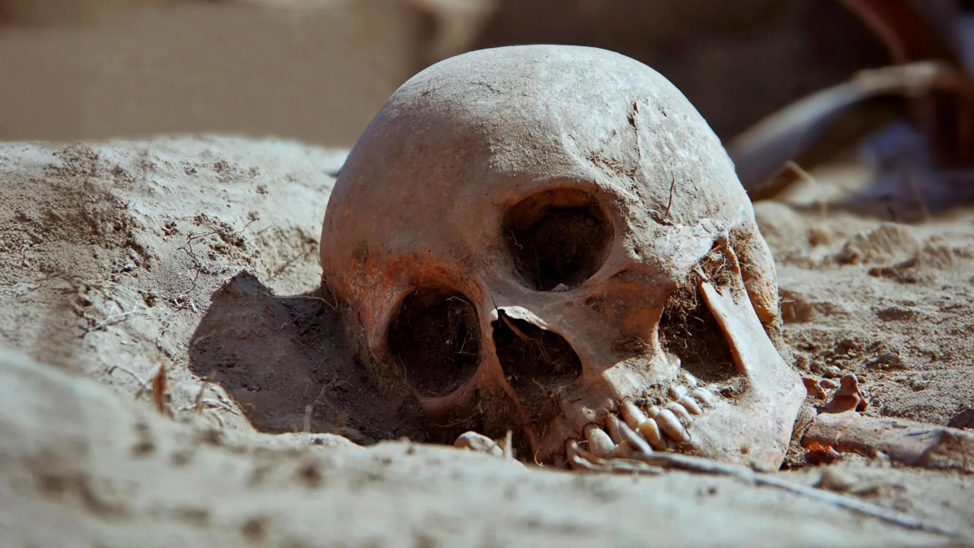 Ancient DNA reveals how
