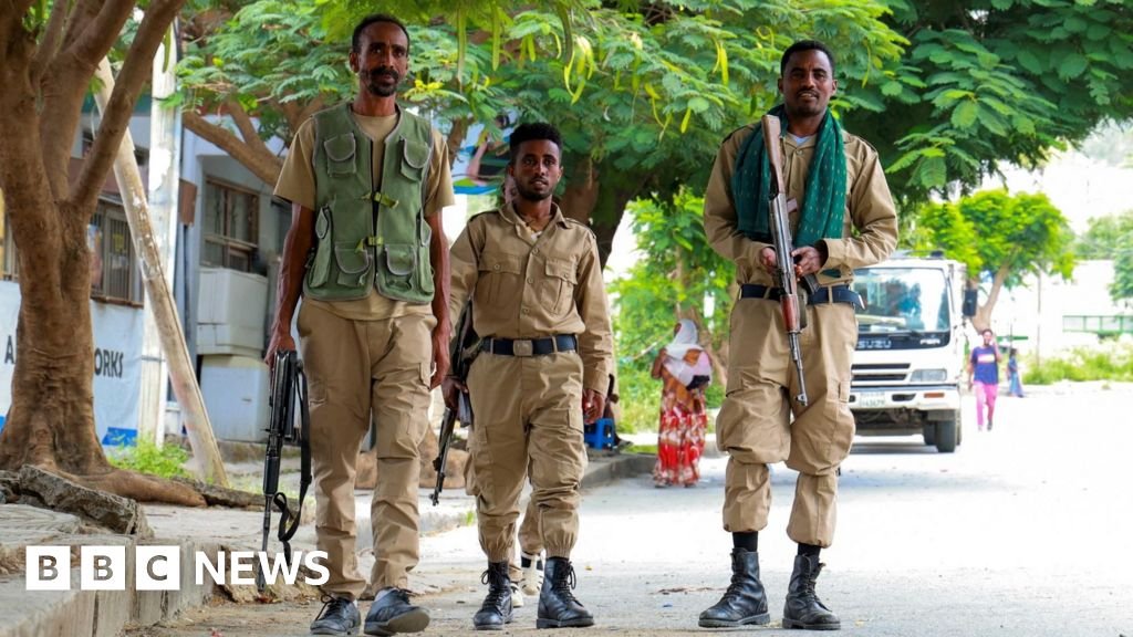 Ethiopia fighting: Are Tigray's