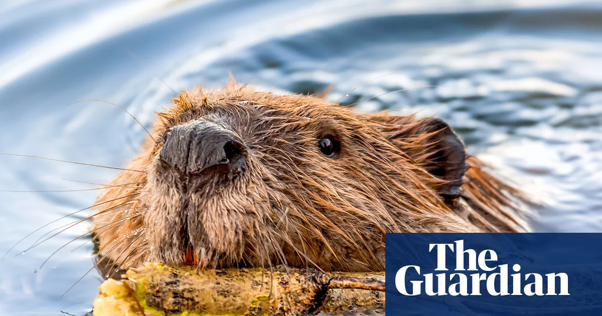 Rabies concerns grow in