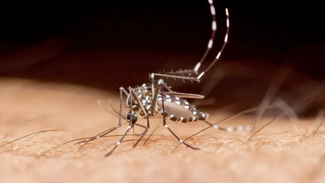 Tropical disease spread by