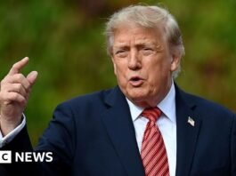 Trump reveals millions of: Best Proven Trump reveals millions of
