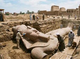 Ramses II Statues Unearthed After Farmer Finds Carved Stone Colossal red-granite head of one of the newly discovered Ramses II statues in Egypt