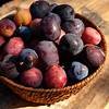 Anti-Inflammatory Foods To Eat