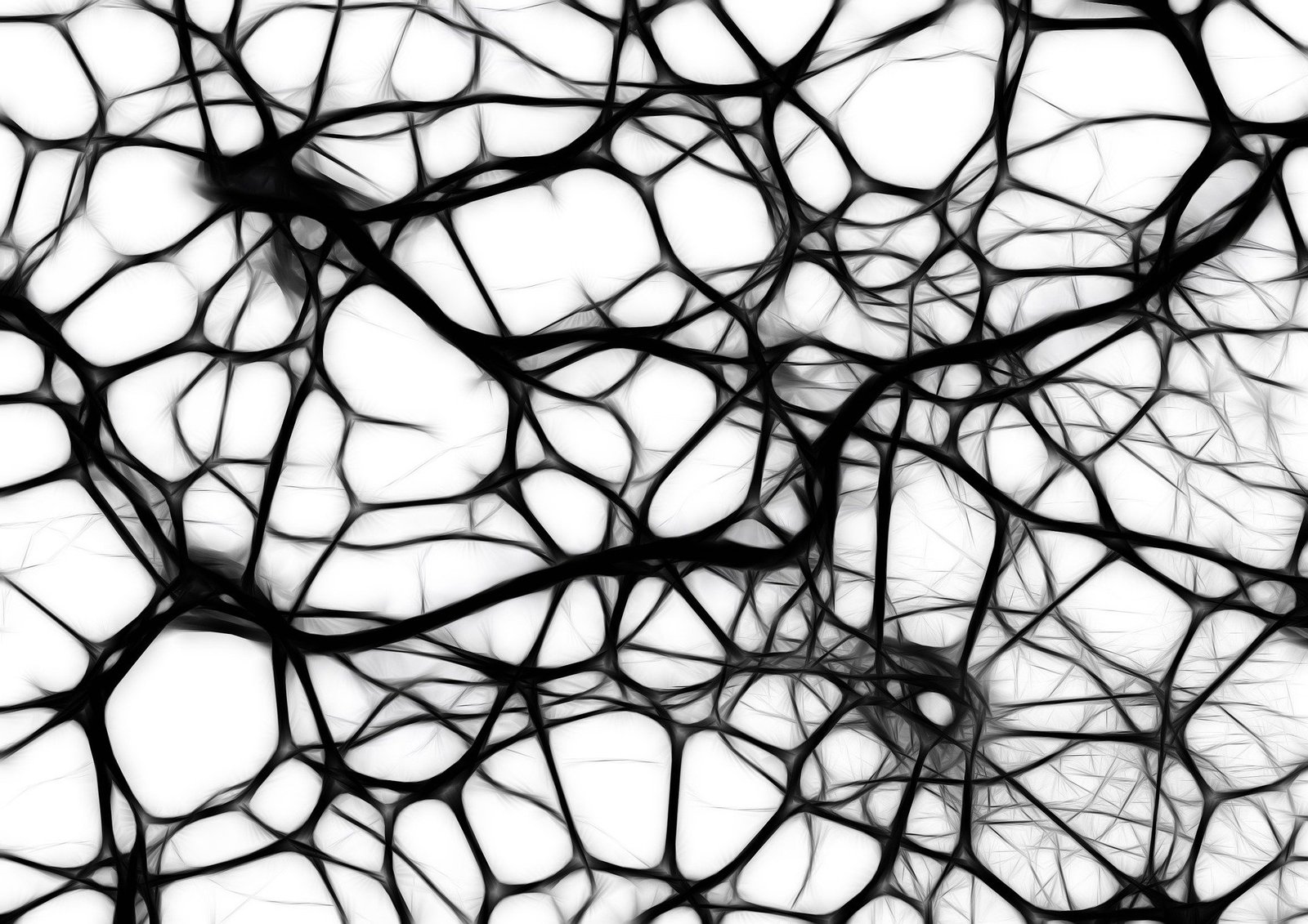 Brain tissue removed during