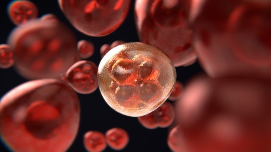 Cancer trial drug may