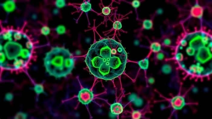 Clonal heterogeneity in human