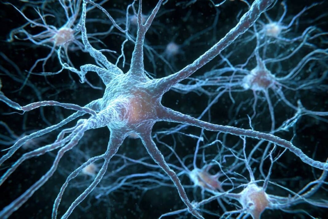Scientists at MIT's Aging Brain Initiative symposium presenting breakthroughs in aging brain health and Alzheimer's research.