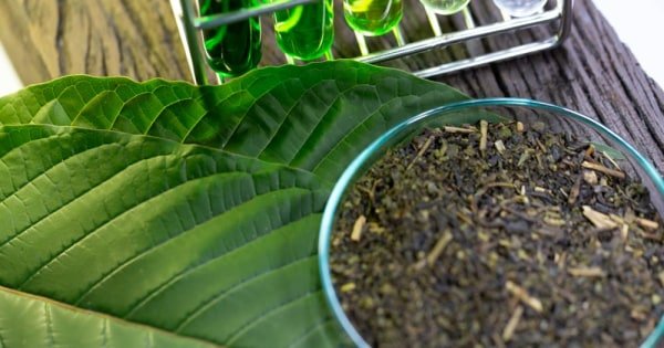 hea-02 Botanical products need strict FDA standards, AMA says