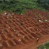How Congo’s Ebola Epidemic