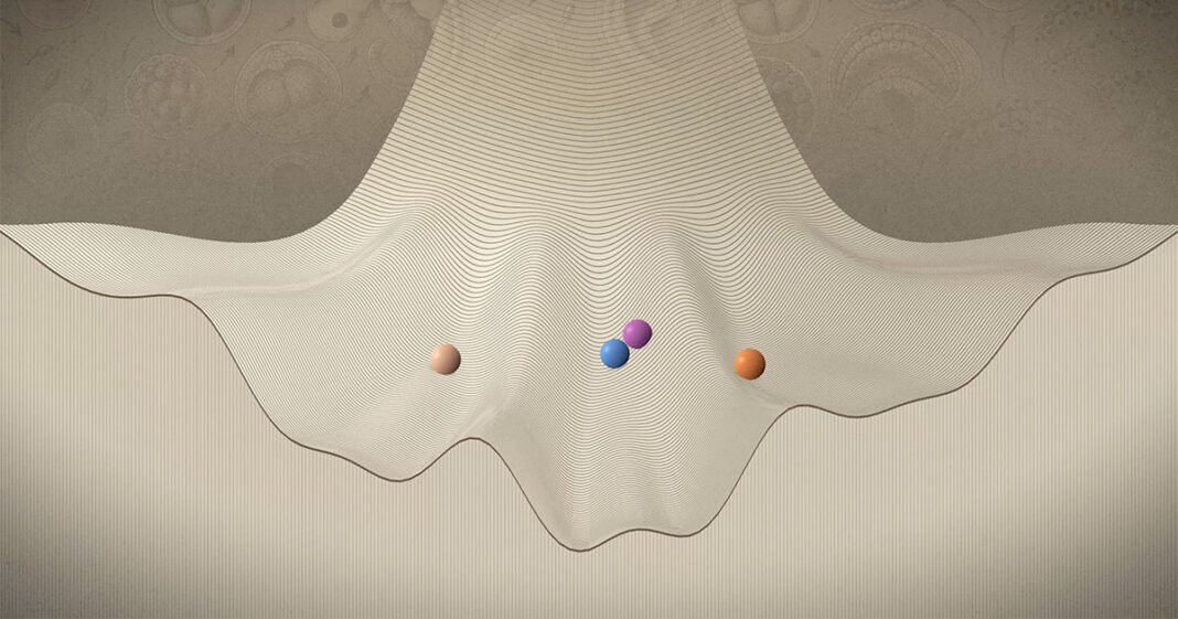 How Does Life Unfold? How Does Life Unfold?