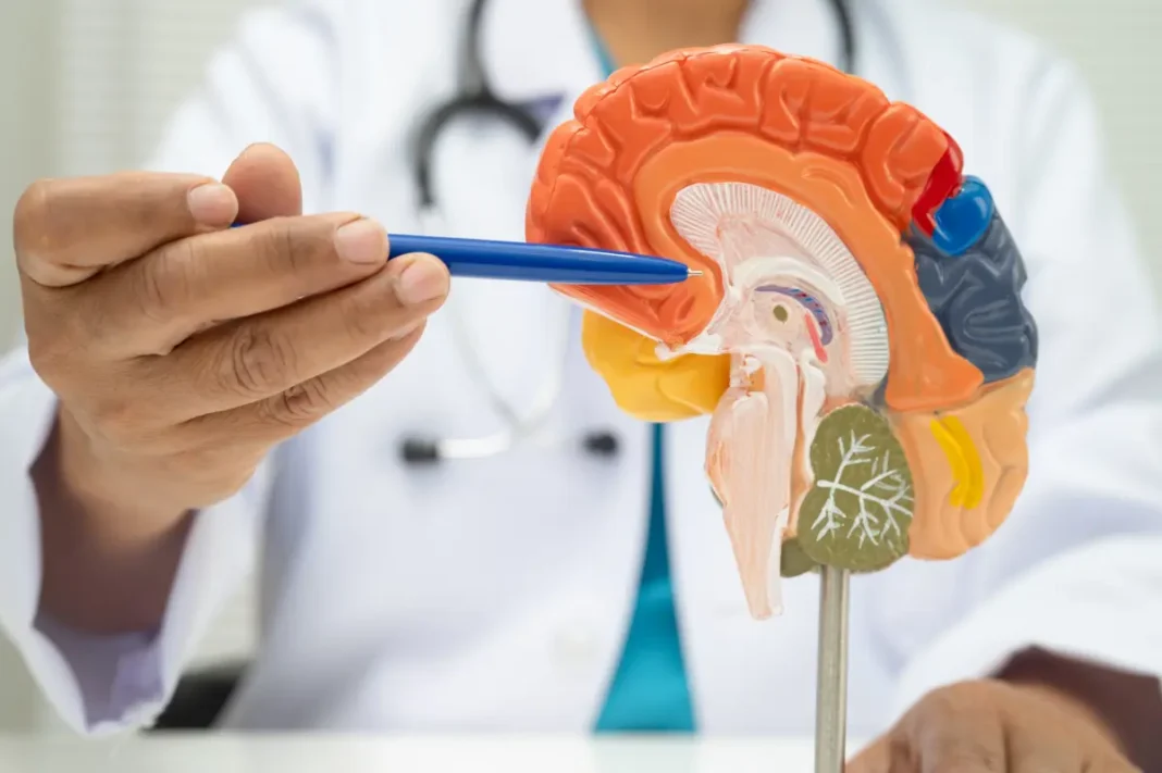 I’m neurosurgeon everyday habits
