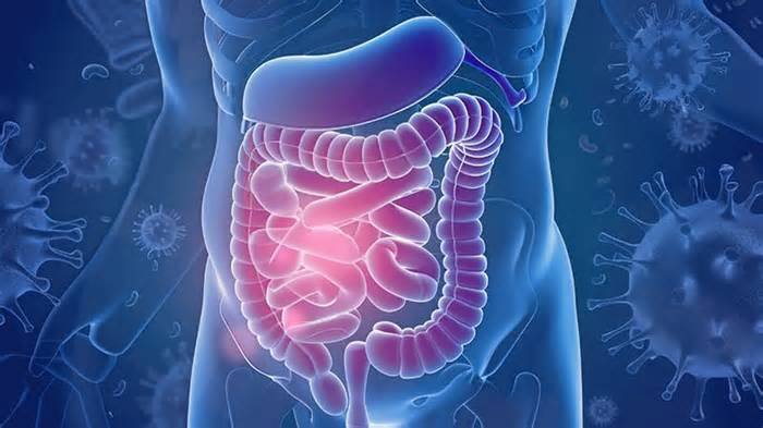 IBS Symptoms Improved by