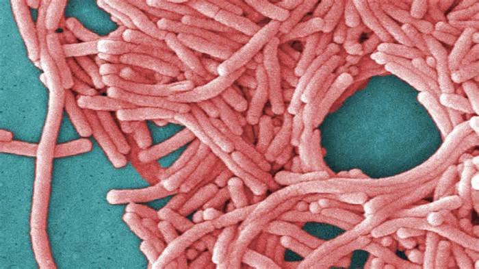 Legionnaires’ disease cases prompt