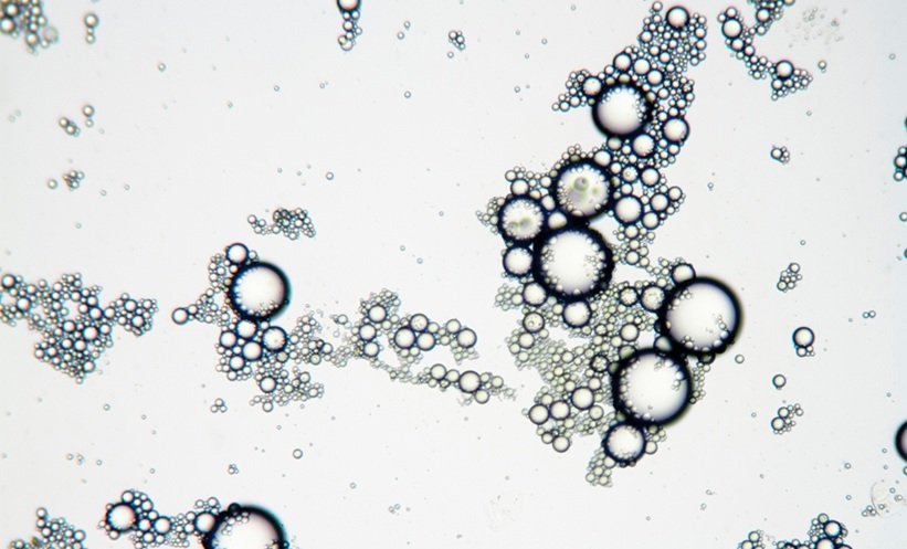 Longer Lipid Chains Identified