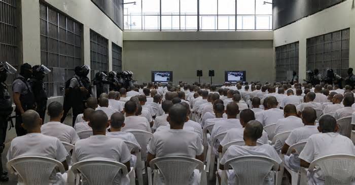 Mass Trials Put Hundreds