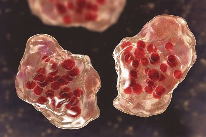 Measles cases continue to