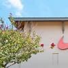 Nike’s Earnings Show Sluggish