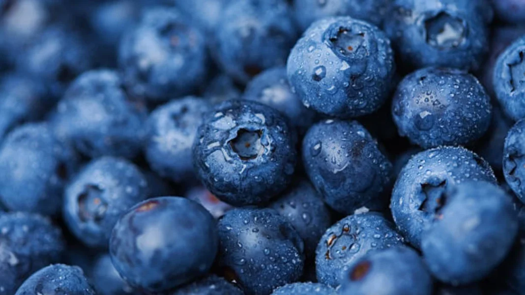 Recall for berries sold
