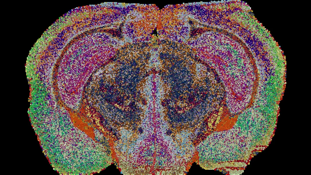 Scientists uncover hidden map Scientists uncover hidden map