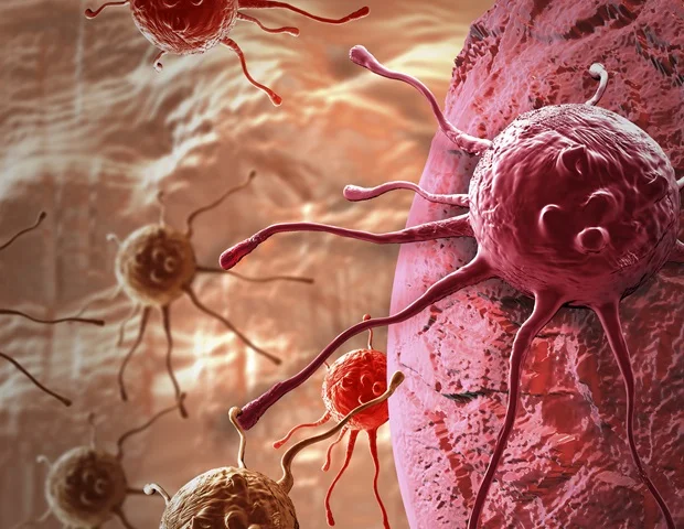 Sex chromosomes influence immunity,