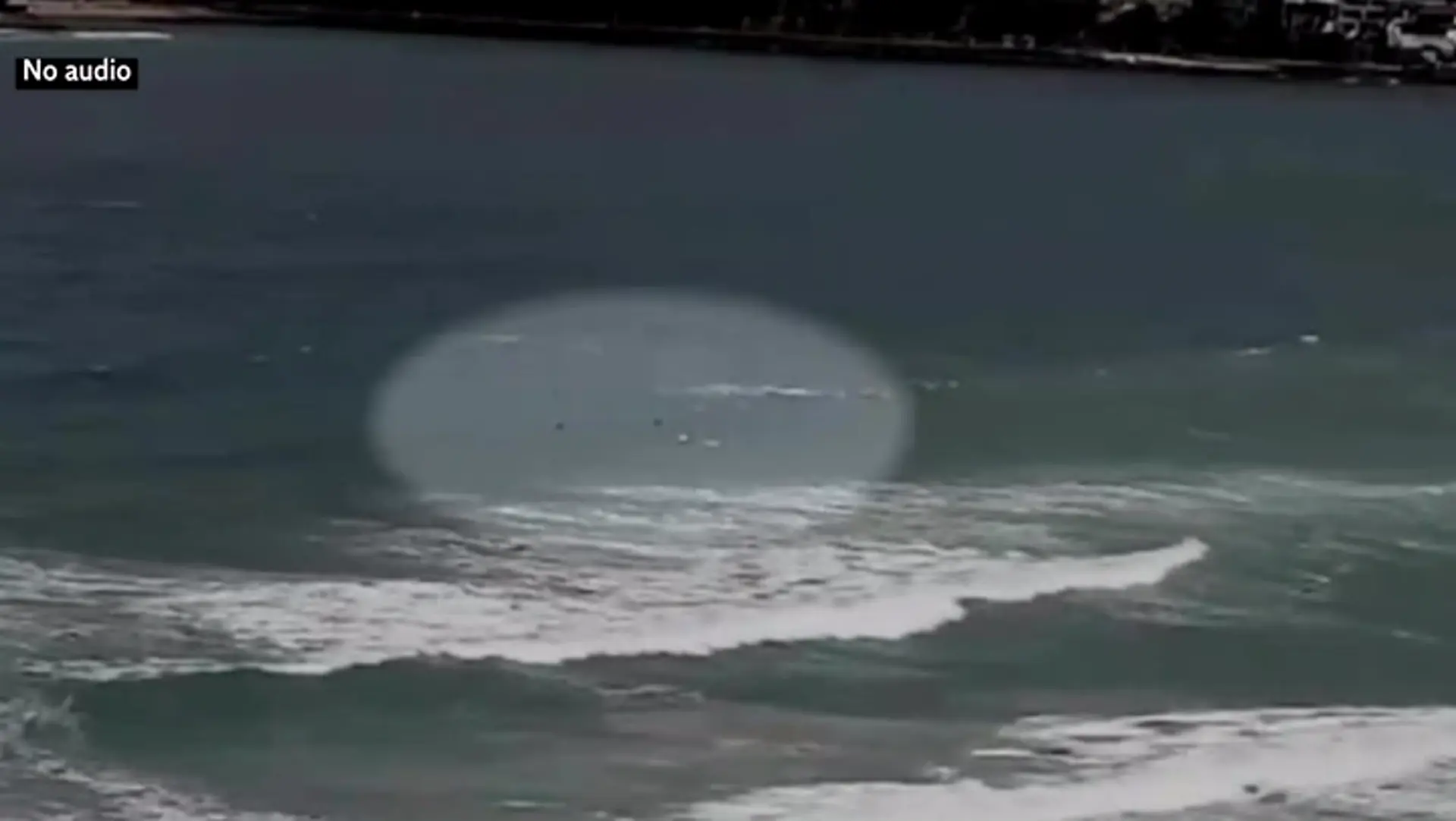 Shark attack survivor says