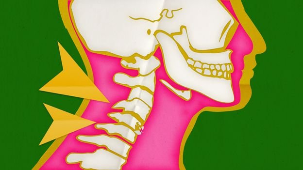 'The spine just wants