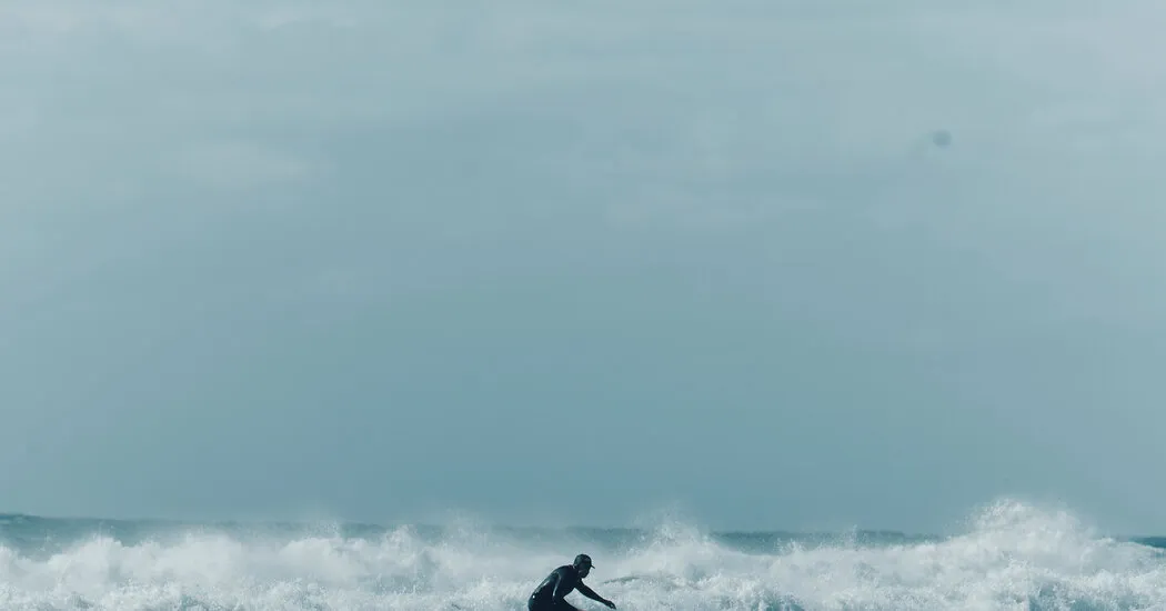 The Surfer’s Guide to