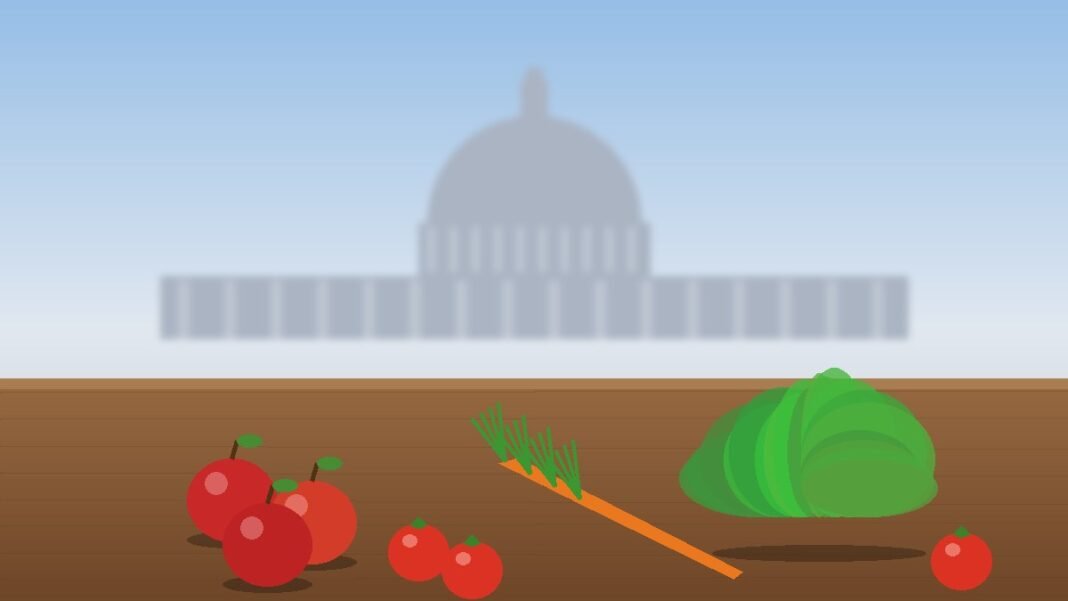 Illustration of fresh apples, tomatoes, carrots and leafy greens on a wooden table with a hazy domed government building behind